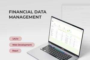 Financial data management: 90% ease of use and flexibility